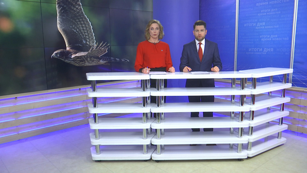 Житель Агаповского района открыл стрельбу по ястребам