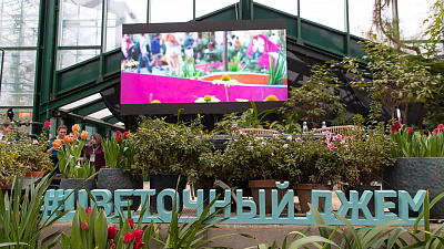 Дизайнеры из Челябинска построят сад в Москве по собственному проекту