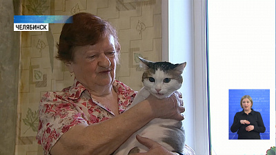 Кот спас хозяйку из пожара