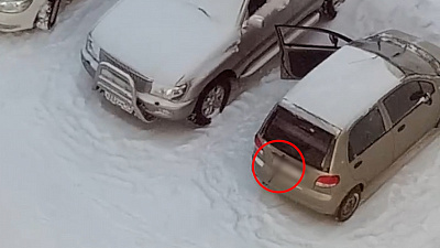 «Хвостиком виляет, гулять хочет!!!»