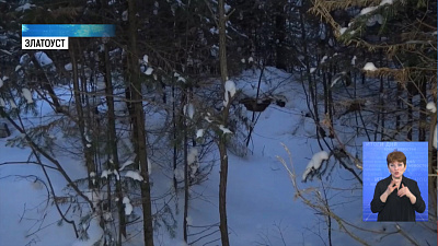 На Южном Урале проснулись клещи