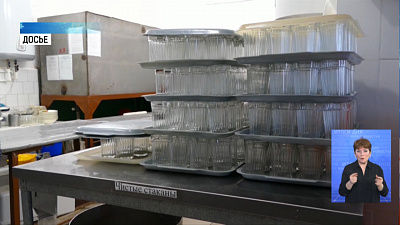 Депутаты приняли закон о бесплатных обедах