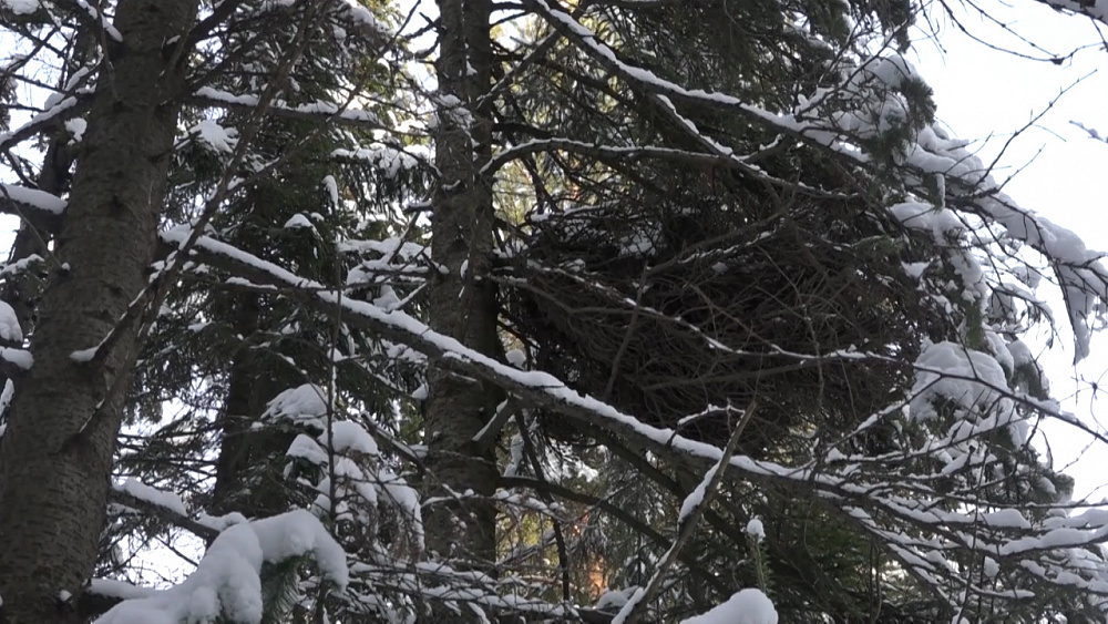 Трагедия в нацпарке «Зюраткуль»