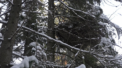 Трагедия в нацпарке «Зюраткуль»