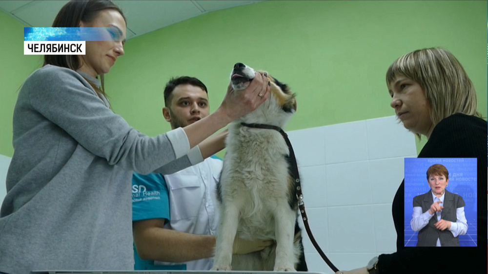 Баграт Агажанов открыл свою ветклинику