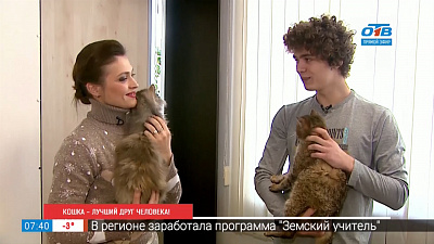 Кошка — лучший друг человека