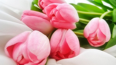 Южноуральские предприниматели готовятся к «цветочному буму»