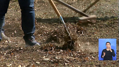 Субботники должны стартовать 20 марта