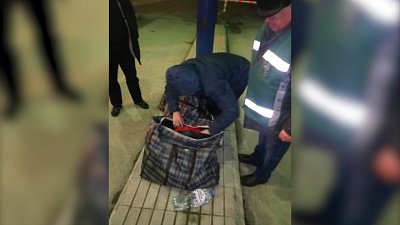 Упрямая женщина пыталась провезти конину в Казахстан