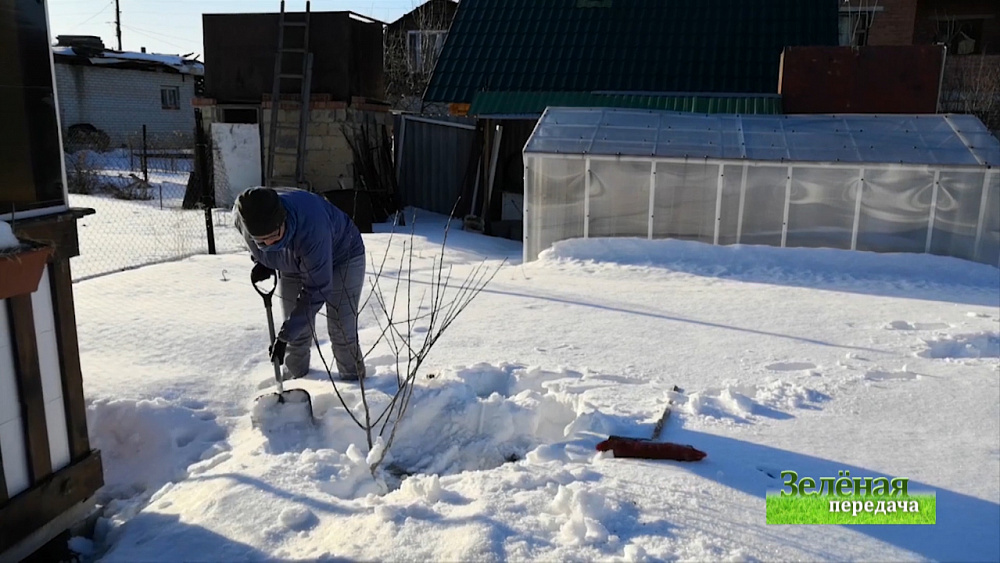 Зеленая передача 12.03.2020