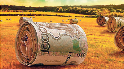 В зоне риска. Южноуральские аграрии не получат компенсации за погибшие от засухи посевы