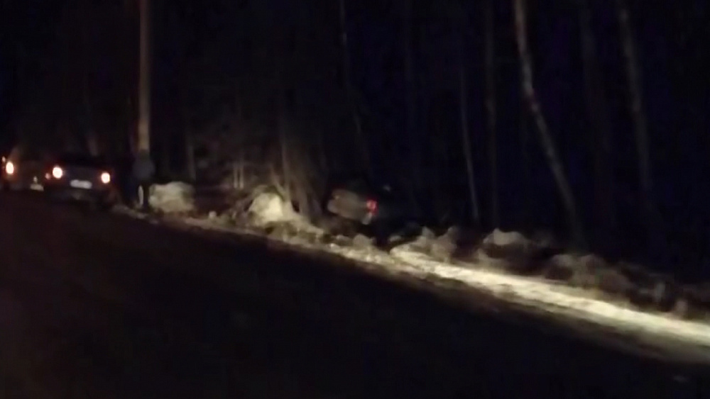 Автоледи не справилась с управлением