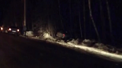 Автоледи не справилась с управлением