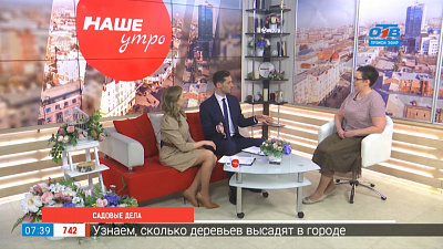 Садовые дела