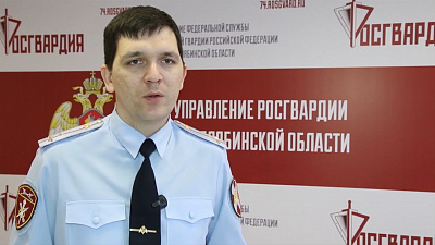 Магнитогорец зарезал собаку на глазах у хозяйки