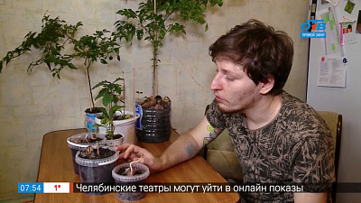 Мужское хобби — комнатные растения