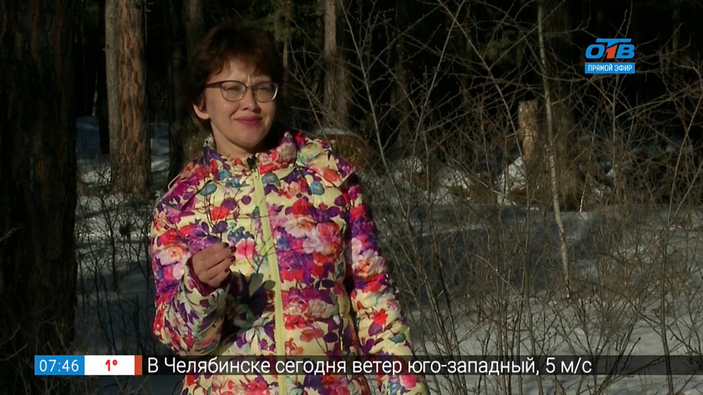 ФитоАптека — Вишня в лесу