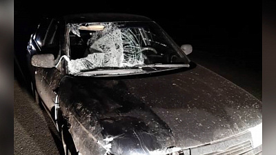 В аварии в Красноармейском районе погиб пешеход