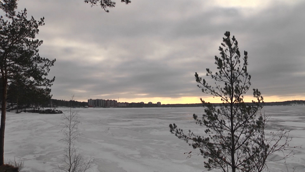 Женщину оштрафовали за фейк о коронавирусе