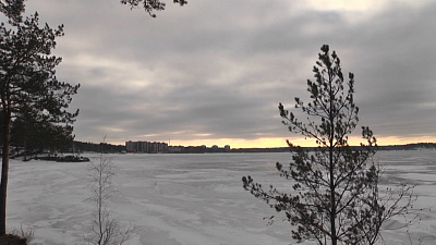 Женщину оштрафовали за фейк о коронавирусе