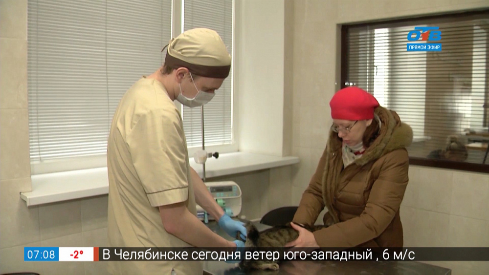 Вакцины от бешенства