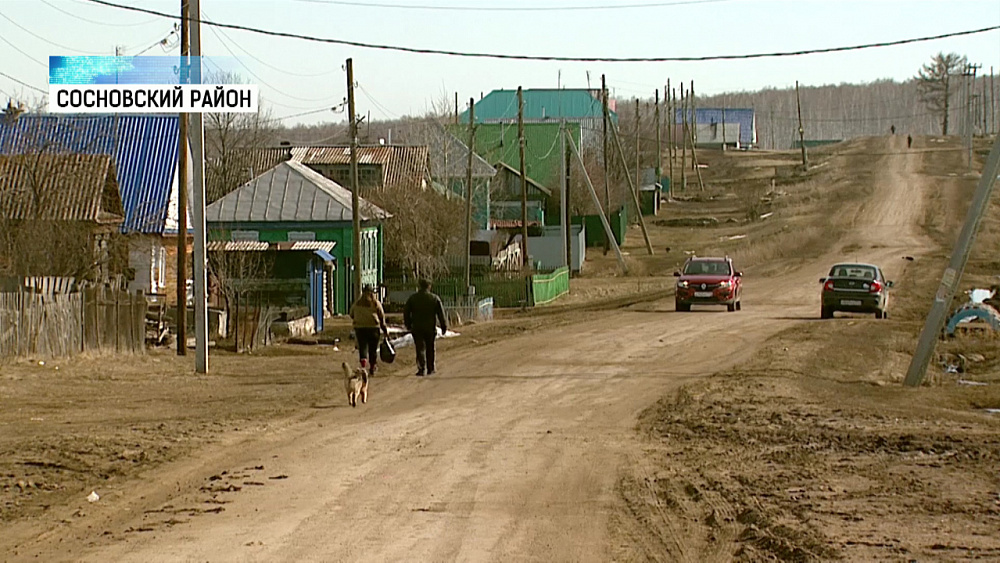 Деревня Мамаево на самоизоляции