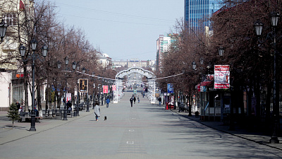 Правительство Челябинской области рассматривает возможность введения пропускного режима в регионе