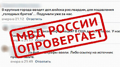 ﻿Жительницу Челябинской области оштрафовали за фейк ньюс