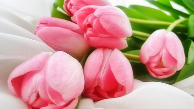 Из-за пандемии коронавируса в Челябинской области возник дефицит живых цветов