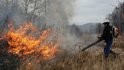 В Челябинской области низкая готовность к лесным пожарам