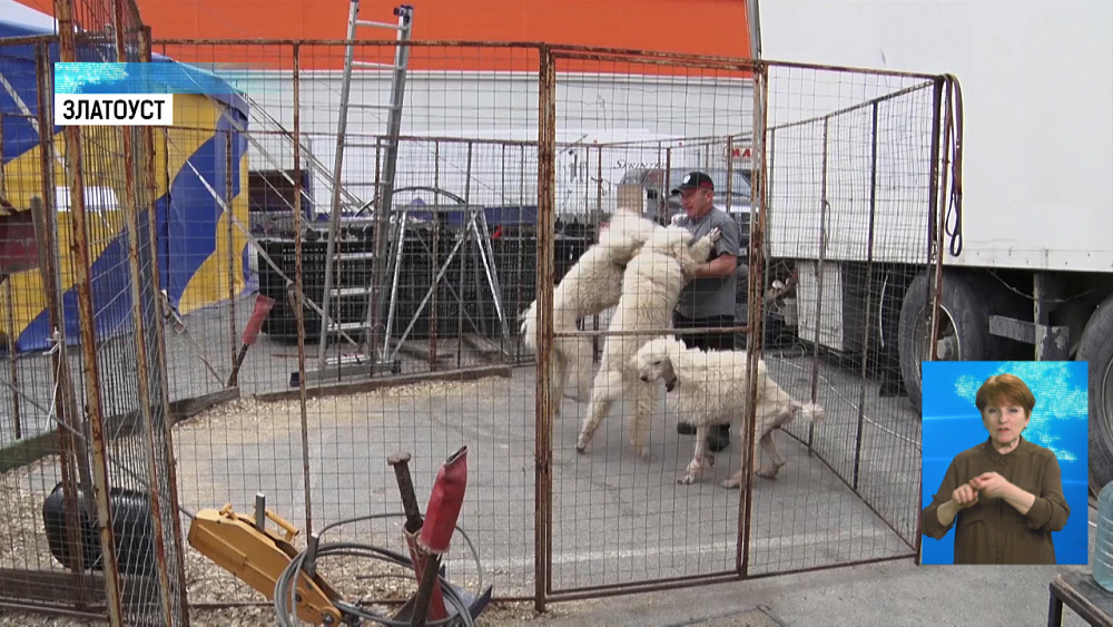 Цирк-шапито не может уехать из Златоуста