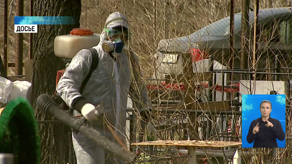 Кладбища обработают от клещей до Радоницы