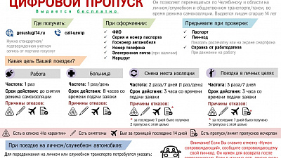 В Челябинской области готовятся к вводу цифровых пропусков