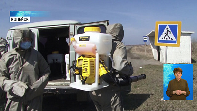 Дезинфекция продолжается в городах области