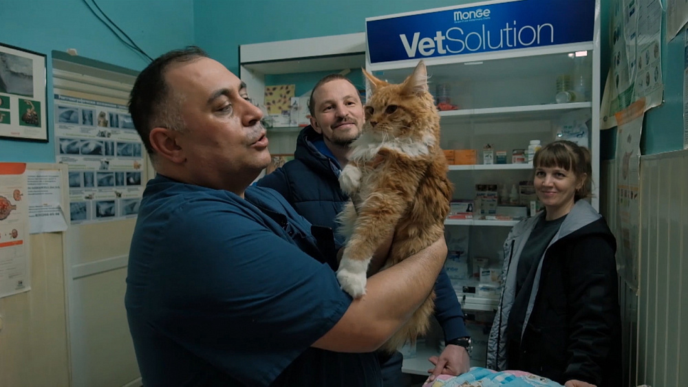 25 лет на страже здоровья животных: история «Айболита» Карена Даллакяна