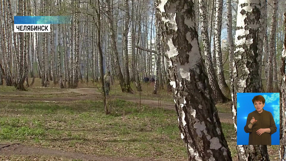 Пошли ли челябинцы на шашлыки?