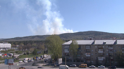 Находиться в лесах Миасса запрещено