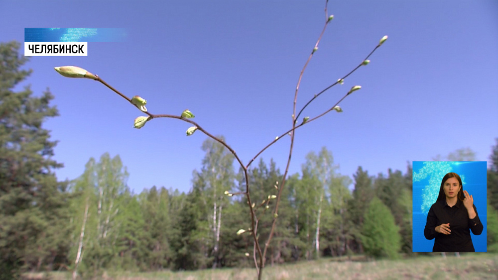 На Южном Урале стартовала акция «Сад памяти»