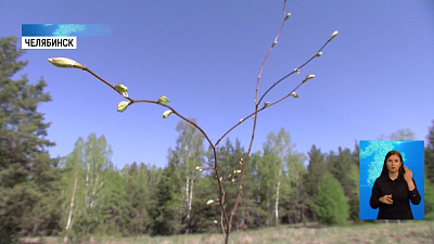 На Южном Урале стартовала акция «Сад памяти»