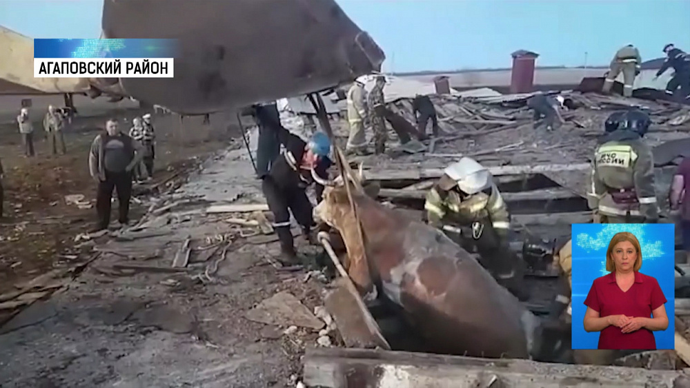 Под завалами фермы оказались животные