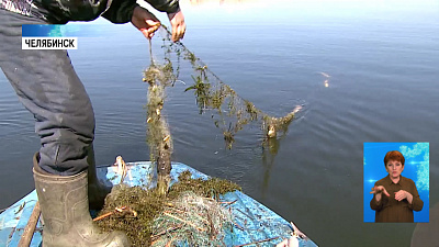 Рыбоохрана вышла на борьбу с браконьерами