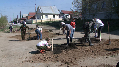 В Миассе появится новая аллея
