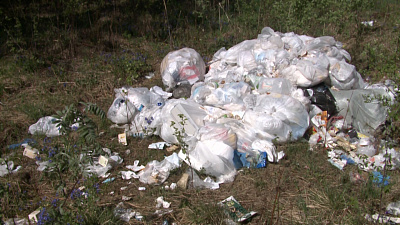 Садоводы Миасса наткнулись на необычную находку