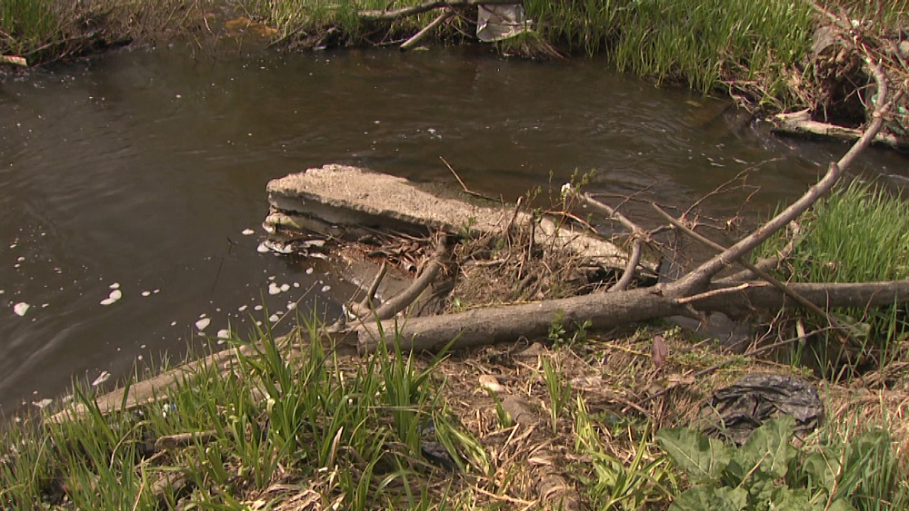 Жители п. Нижний Атлян нашли труп младенца