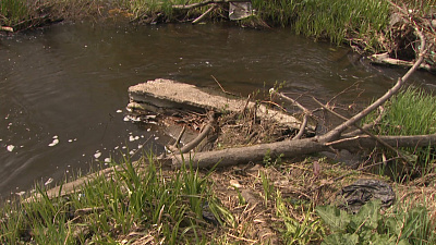 Жители п. Нижний Атлян нашли труп младенца
