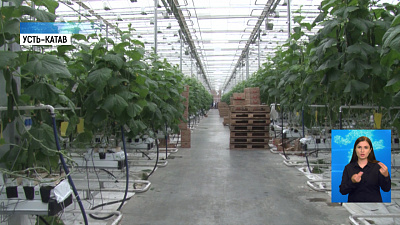 В крупном агрохолдинге подозрение на COVID-19