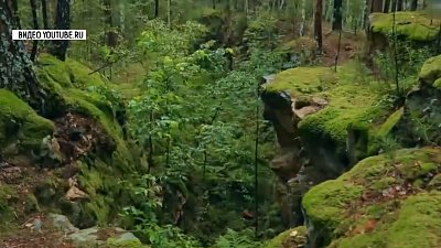 Ильменскому заповеднику — 100 лет