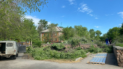 Наталья Котова потребовала отменить разрешение на строительство аптеки в Металлургическом районе