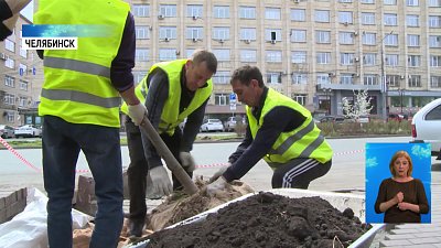 Котова устроила разнос за срубленные деревья