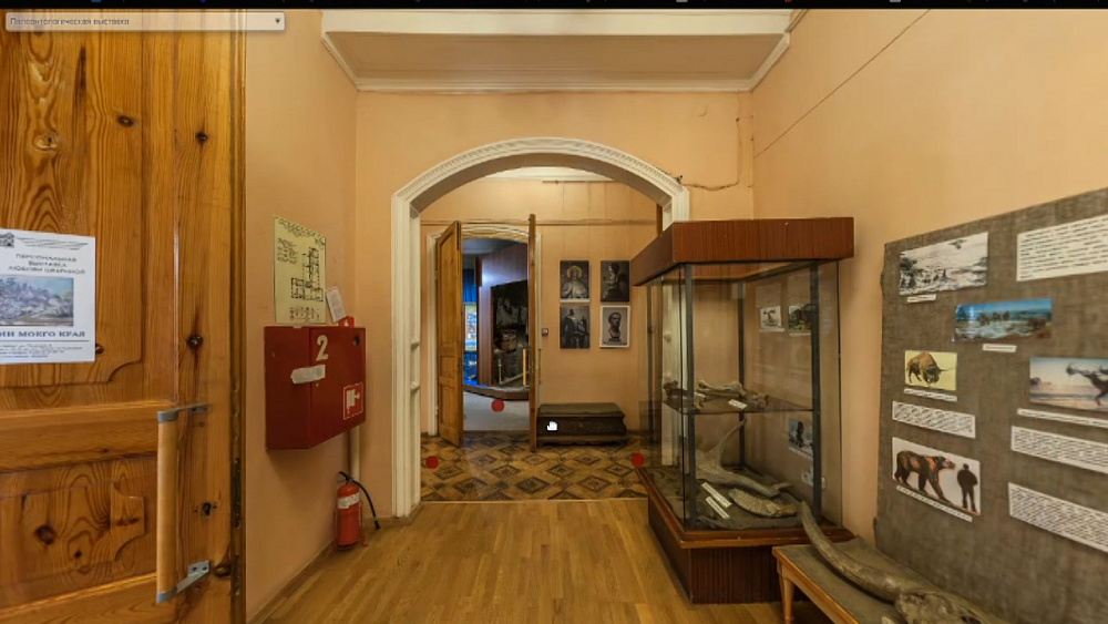 Ночь в музее в онлайн формате